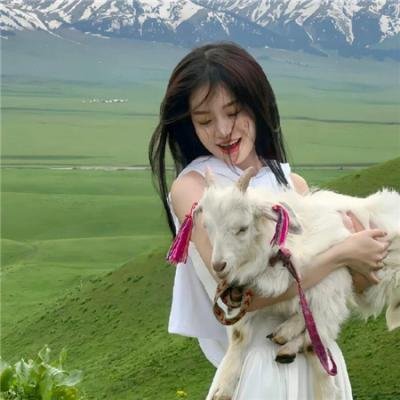 猎豹行动